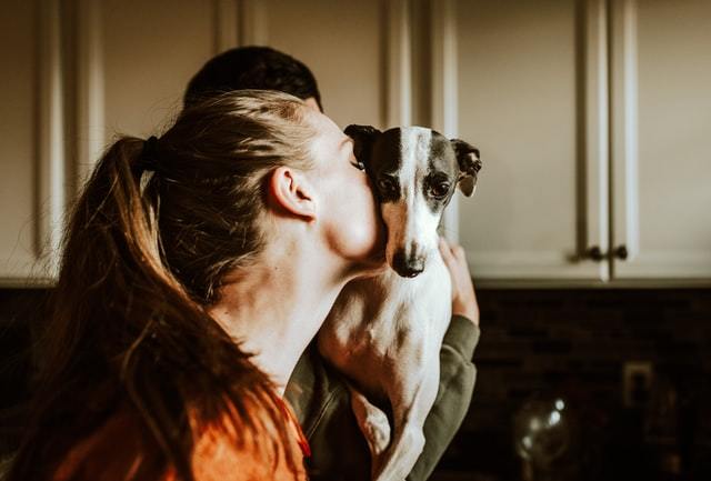 Is CBD Safe For Pets? Natural Path Botanicals organic CBD helps you understand CBD for pets.